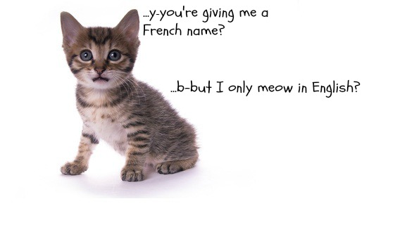25 Spanish Petnames To Fall In Love With!