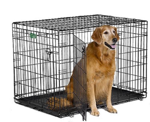 Dog crate size for golden retriever deals