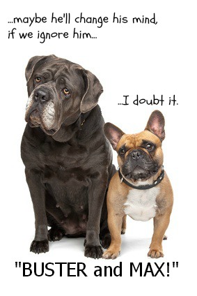 A funny image of dogs
